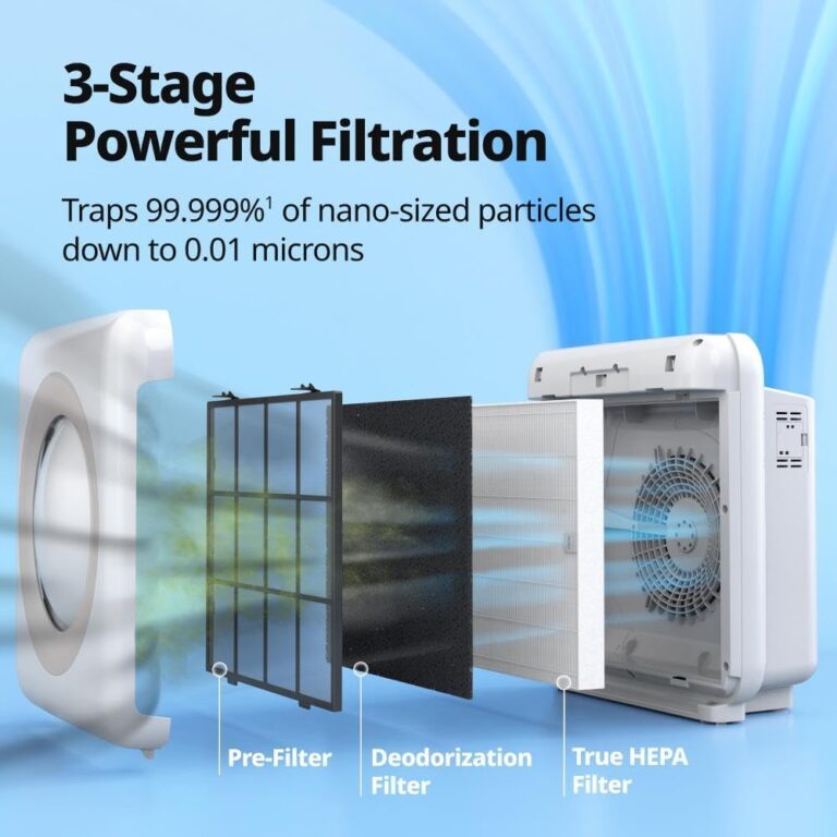 The best air purifiers of 2025